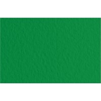 Fabriano Бумага для пастели Tiziano 160 г/м2 A4 21 х 29.7 см лист 50 л. Biliardo/Темно-зеленый 21297137