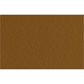 Fabriano Бумага для пастели Tiziano 160 г/м2 A1+ 70 х 100 см лист 10 л. Caffe/Кофейный 52811009