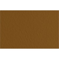 Fabriano Бумага для пастели Tiziano 160 г/м2 A1+ 70 х 100 см лист 10 л. Caffe/Кофейный 52811009