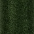200 я №221 т.зеленый