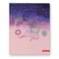 Светоч Дневник школьный 5-11 класс, матовая ламинация + фольга, A5+ 48 л. 12 шт. твердый переплет 60 г/кв.м Сияние ночи 48ДТ5_000078