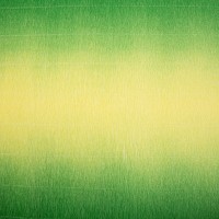 Blumentag Гофрированная бумага GOF-180/P 50 см х 2.5 м 144 г/м2 600/5 желто-зеленый