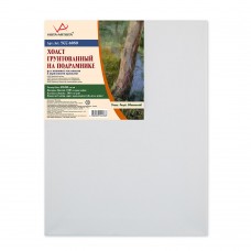 Холст грунтованный на подрамнике 