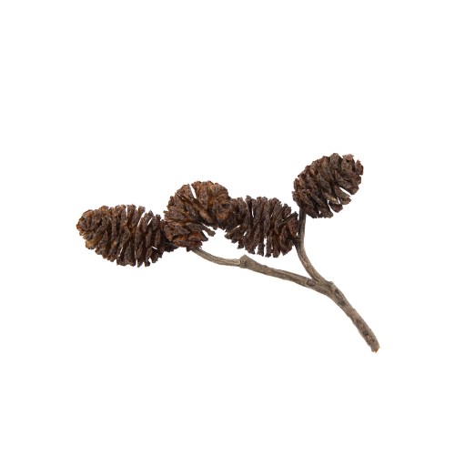 Blumentag PIF-03 Шишки ольхи 10 г 01
