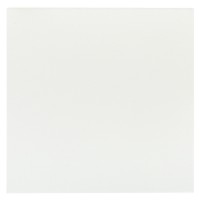 Холст грунтованный на картоне VISTA-ARTISTA CPCA-6060 100\% хлопок 60 х 60 см 240 г/кв.м мелкозернистый