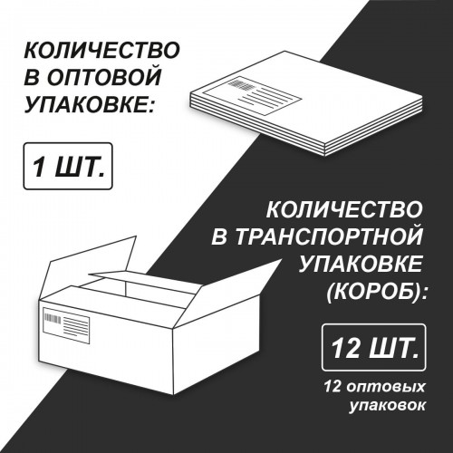 "Светоч"   ТЕТ160-002   Тетрадь общая со сменным блоком, матовая ламинация,   A5   160 л.  на 4 кольцах   65 г/кв.м , белизна 100 \%  12 шт.  клетка 000660 Свет утренней зари