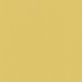 21 х 29.7 см 50 шт. 07 охра/ochre
