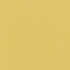 "VISTA-ARTISTA"   Бумага цветная   MPO-A4   120 г/м2  A4   21 х  29.7 см  50 шт. 07 охра/ochre