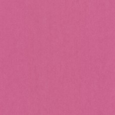 "VISTA-ARTISTA"   Бумага цветная   MPO-A4   120 г/м2  A4   21 х  29.7 см  50 шт. 11 розовый /pink