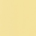 21 х 29.7 см 50 шт. 02 желтый светлый/yellow light