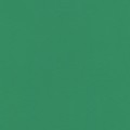 21 х 29.7 см 50 шт. 25 темно-зеленый/dark green