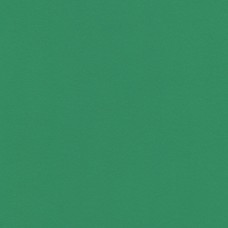 "VISTA-ARTISTA"   Бумага цветная   MPO-A4   120 г/м2  A4   21 х  29.7 см  50 шт. 25 темно-зеленый/dark green
