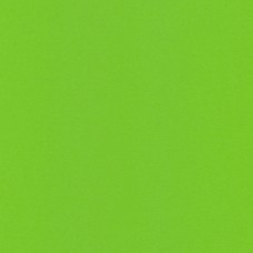 "VISTA-ARTISTA"   Бумага цветная   MPO-A4   120 г/м2  A4   21 х  29.7 см  50 шт. 26 зеленый травяной/green grass