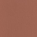 21 х 29.7 см 50 шт. 30 коричневый/brown