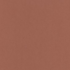 "VISTA-ARTISTA"   Бумага цветная   MPO-A4   120 г/м2  A4   21 х  29.7 см  50 шт. 30 коричневый/brown