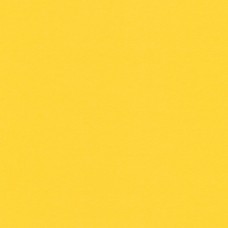 "VISTA-ARTISTA"   Бумага цветная   MPO-A4   120 г/м2  A4   21 х  29.7 см  50 шт. 06 золотистый/golden