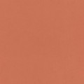 21 х 29.7 см 50 шт. 04 терракотовый/terracotta
