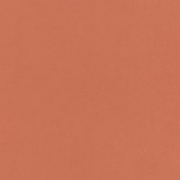 "VISTA-ARTISTA"   Бумага цветная   MPO-A4   120 г/м2  A4   21 х  29.7 см  50 шт. 04 терракотовый/terracotta