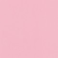 21 х 29.7 см 50 шт. 13 светло-розовый/light pink