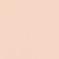 21 х 29.7 см 50 шт. 22 светло-персиковый/light peach
