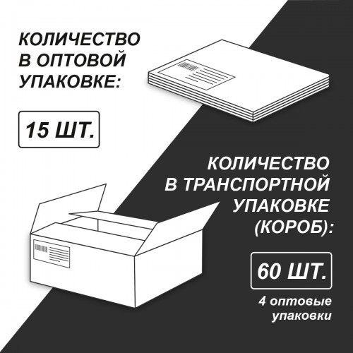 "Светоч"   Т66   Тетрадь ученическая школьная с пластик. обложкой 180 мкр., цвет.запечат.титул лист   A5+   24 л.  на скобе   65 г/кв.м , белизна 100 \%  15 шт.  клетка 01109 Яркий цвет