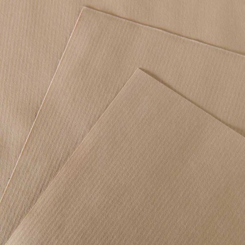 "Canson"   Альбом для графики  XL Крафт   90 г/м2  A4   29.7 х  42 см  склейка с одной стороны   60 л. C400039142