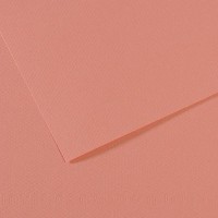"Canson"   Бумага для пастели Mi-Teintes   160 г/м2  21 х  29.7 см  лист   25 л. №352 Розовая орхидея C31032S016