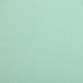 Бумага для скрапбукинга Mr.Painter PST 216 г/кв.м 30.5 x 30.5 см 10 шт. 38 Мятная пастила (св. зелено-голубой)