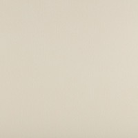 Фетр "Gamma"   Premium   FKS12-33/53   декоративный   1.2 мм  33 см х 53 см 804 кремовый