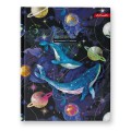 5-11 класс, матовая ламинация + фольга, A5+ 48 л. 12 шт. твердый переплет 60 г/кв.м Сказочный мир 48ДТ5_000081
