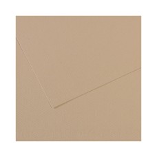"Canson"   Бумага для пастели Mi-Teintes   160 г/м2  75 х  110 см  лист   25 л. №343 серо-бежевый C200321057