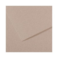 "Canson"   Бумага для пастели Mi-Teintes   160 г/м2  75 х  110 см  лист   25 л. №426 светло-серый C200331427