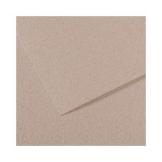 "Canson"   Бумага для пастели Mi-Teintes   160 г/м2  75 х  110 см  лист   25 л. №426 светло-серый C200331427