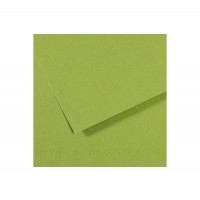 "Canson"   Бумага для пастели Mi-Teintes   160 г/м2  75 х  110 см  лист   25 л. №475 зеленое яблоко C200321157