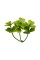 Искусственное растение "Blumentag"   GPT-06   Декоративные элементы для садовых композиций "Веточки"   6 х  4 шт. 03
