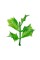 Искусственное растение "Blumentag"   GPT-06   Декоративные элементы для садовых композиций "Веточки"   6 х  4 шт. 07