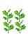 Искусственное растение "Blumentag"   GPT-06   Декоративные элементы для садовых композиций "Веточки"   6 х  4 шт. 07