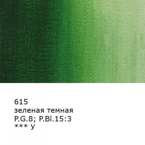 Краска гуашь "VISTA-ARTISTA"   "Gallery"   художественная группа 1   VAG-100   100 мл  6 шт. 615_Зеленая темная (Green deep)