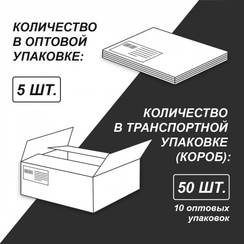 "Светоч"   24АЛСК4_3_3_9   Альбом для рисования, глянц.ламинация,   100 г/м2  A4   29 х  20.5 см  24 л.  на скобе   5 шт. 000203 Космос