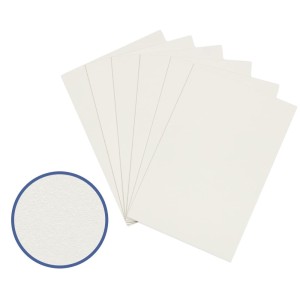 Картон грунтованный "VISTA-ARTISTA"   PKR-1015   10 х  15 см  6 шт.   "VISTA-ARTISTA"   PKR-1015   10 х  15 см  6 шт.