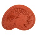 TSM-03 Штамп 5.8 см х 5.8 см 07 Морская раковина