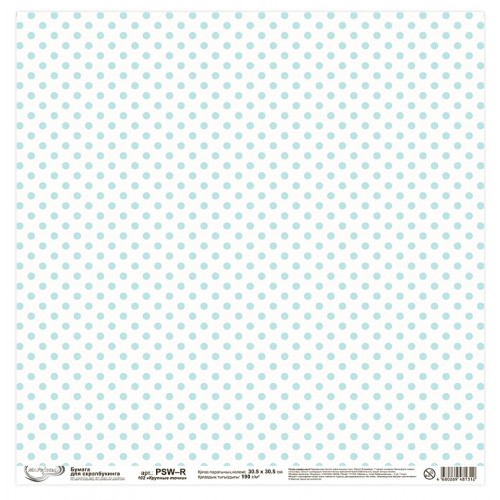Бумага для скрапбукинга "Mr.Painter"   PSW-R   190 г/кв.м  30.5 x 30.5 см  10 шт. 102 "Крупные точки"