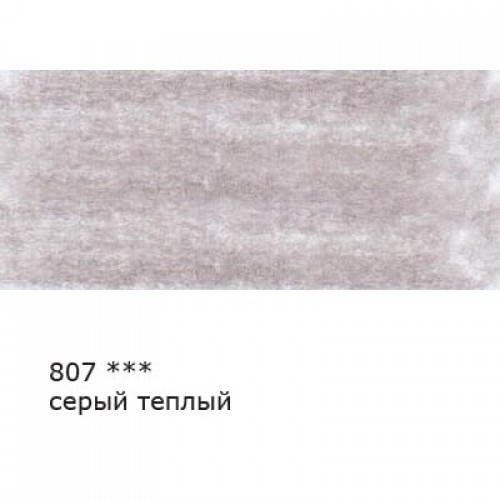 "VISTA-ARTISTA"   Fine   VFCP   Карандаш цветной   заточенный   6 шт 807 Серый теплый (Warm gray)