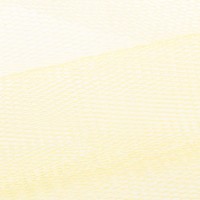 Ткань FTN   Фатин   ФАСОВКА   26 г/кв.м ± 2 г/кв.м  100 х  170 см ± 5 см  100\% полиэстер №11-0617 шампань