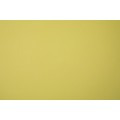 21 х 29.7 см 25 шт. 02 желтый светлый/yellow light