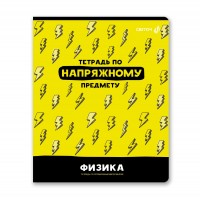"Светоч"   48Т1   Тетрадь со справочным материалом "Без фильтров",   A5+   48 л.  на скобе   60 г/кв.м , белизна 90 \%  10 шт. , клетка 00847 Физика
