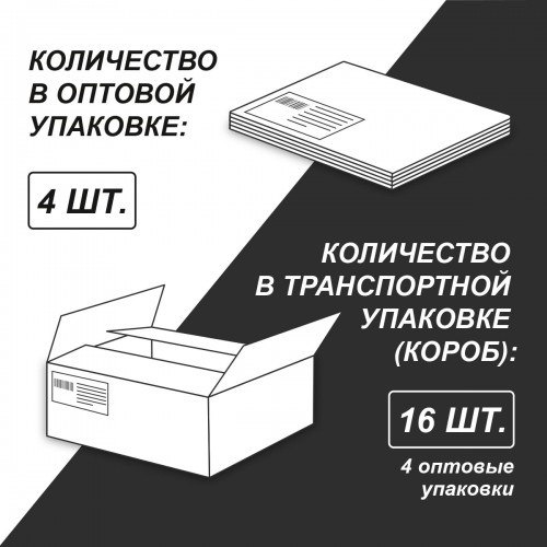 "Светоч"   Т125   Тетрадь ученическая общая,   A4   80 л.  на гребне   65 г/кв.м , белизна 100 \%  4 шт.  клетка 01229 Формула движения