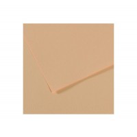 "Canson"   Бумага для пастели Mi-Teintes   160 г/м2  75 х  110 см  лист   25 л. №350 золотисто-розовый C200321077