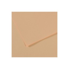 "Canson"   Бумага для пастели Mi-Teintes   160 г/м2  75 х  110 см  лист   25 л. №350 золотисто-розовый C200321077