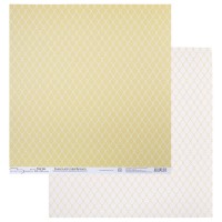 Бумага для скрапбукинга "Mr.Painter"   PSW   180 г/кв.м  30.5 x 30.5 см  10 шт.  СК/Распродажа (270)904 сетка